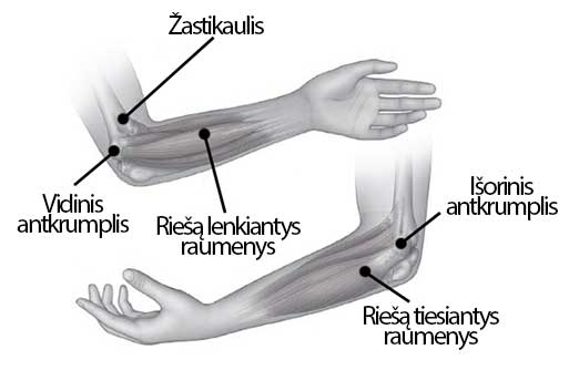artritas sąnarių su rankomis artritas šepetys alkūnė