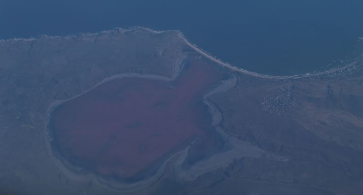gydymas sąnarių ežeras chokrak bendra tepalas su žolelėmis