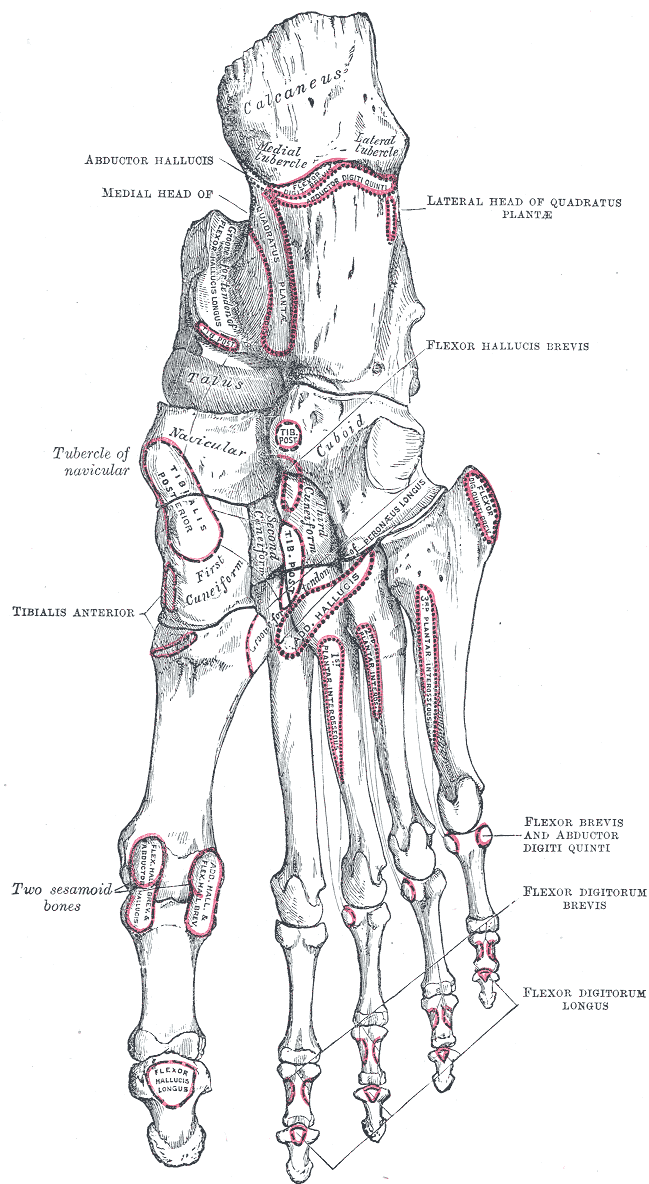 padikaulio lūžis swelling in joints after covid