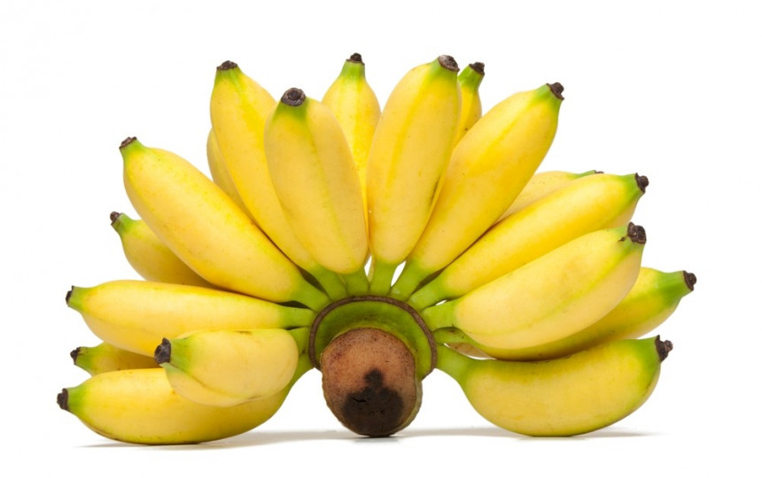 tinktūros dėl bananų sąnarių gydymo gliukozaminas sanariams kaina